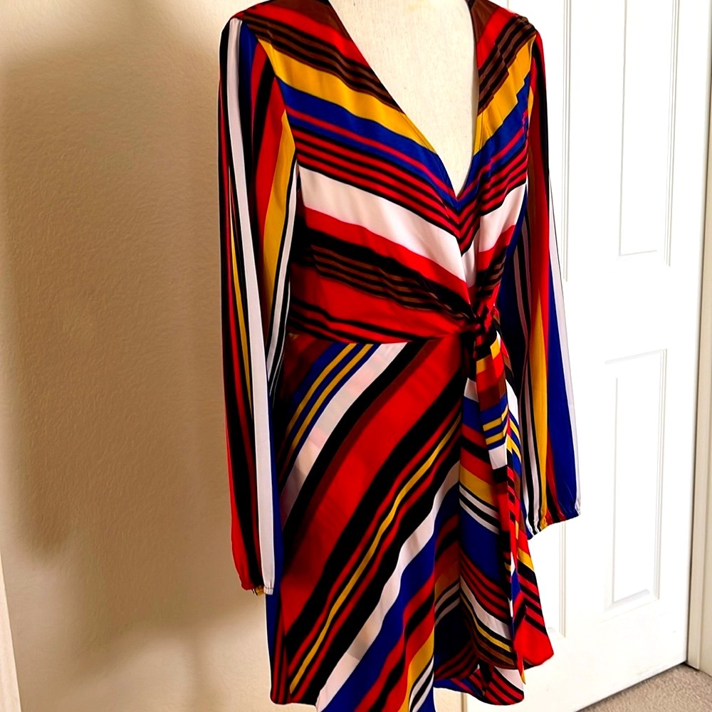 Express Mini Dress - Picture 3 of 3